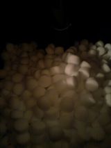 Referenzen Enthärtungsanlage